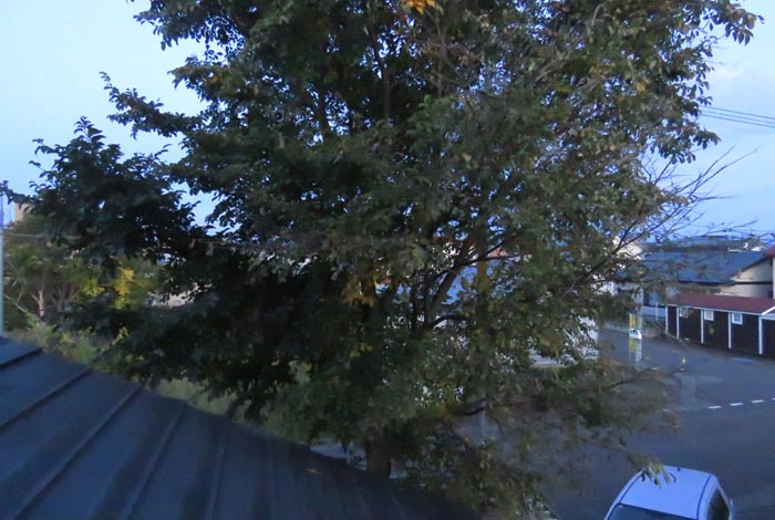 webnews�����̖k���^���̋�