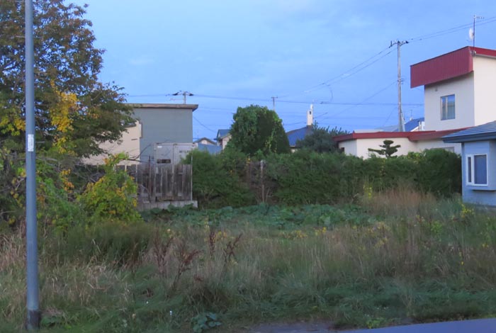 webnews�����̖k��