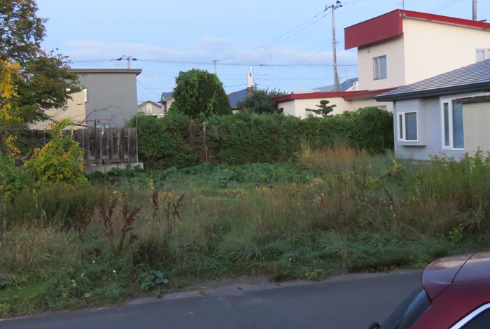 webnews�����̖k��