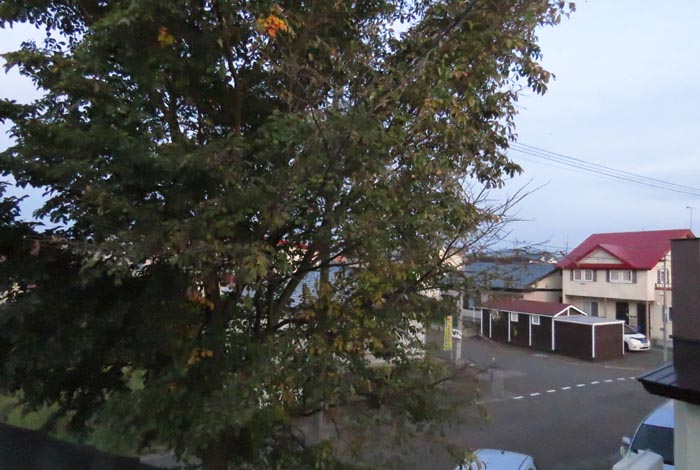 webnews�����̖k���^���̋�