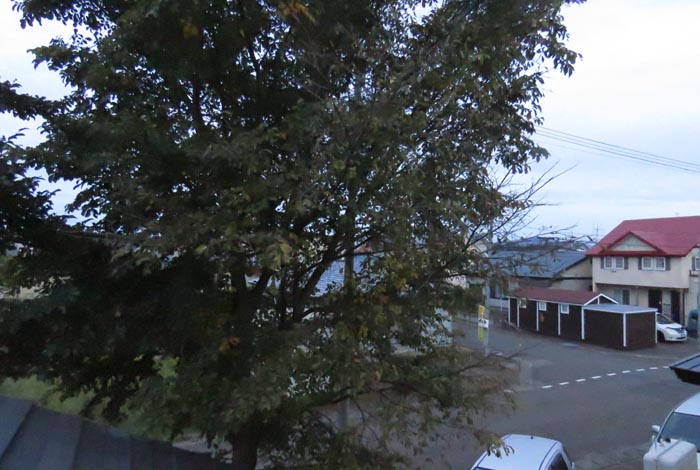 webnews�����̖k���^���̋�