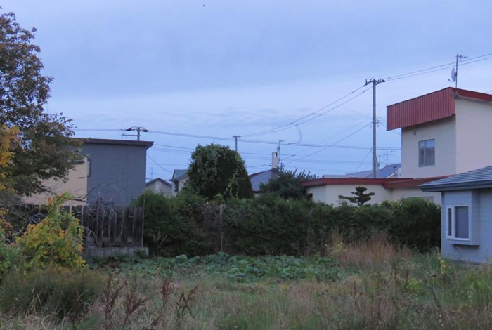 webnews�����̖k��