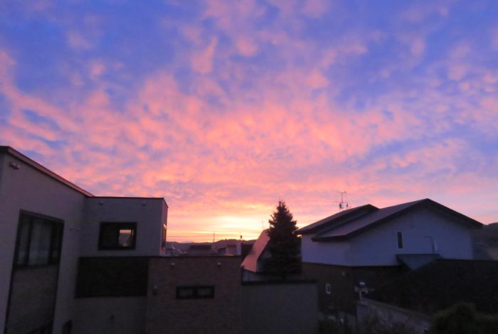 webnews�����̖k���^���̋�