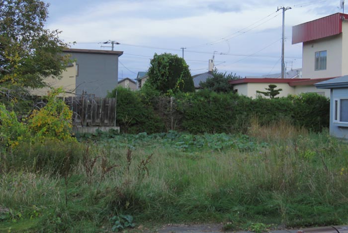 webnews�����̖k��