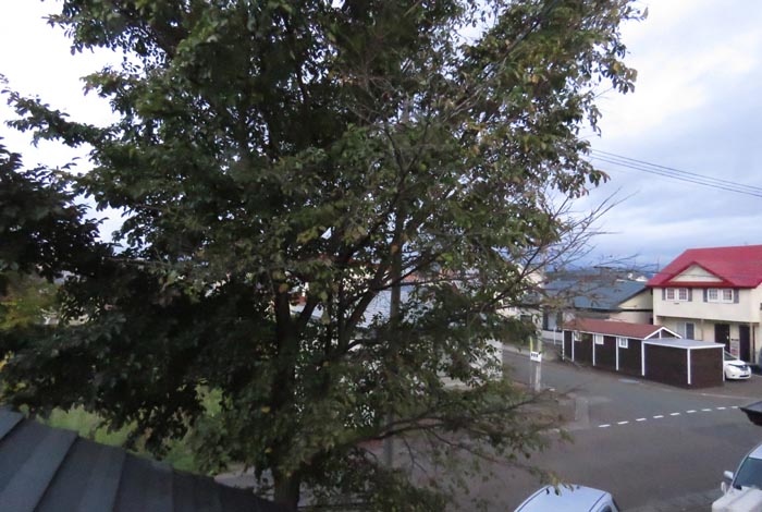 webnews�����̖k���^���̋�