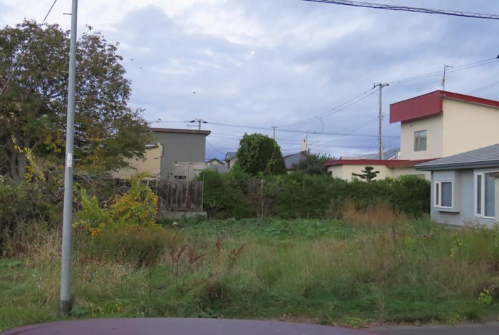 webnews�����̖k��