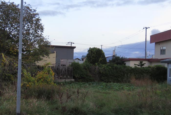 webnews�����̖k��