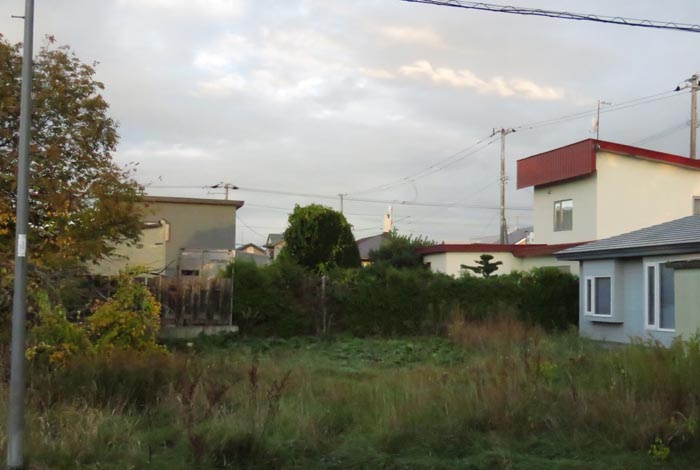 webnews�����̖k��