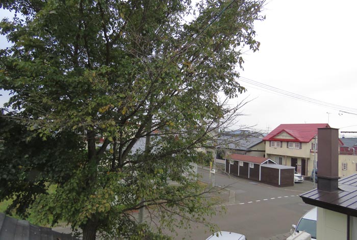 webnews�����̖k���^���̋�