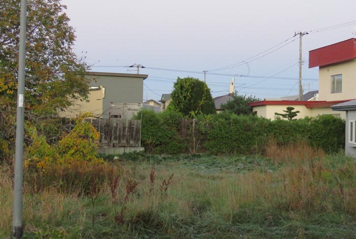 webnews�����̖k��