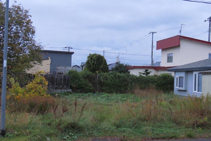 webnews�����̖k��