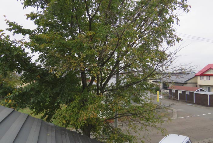 webnews�����̖k���^���̋�