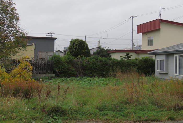 webnews�����̖k��