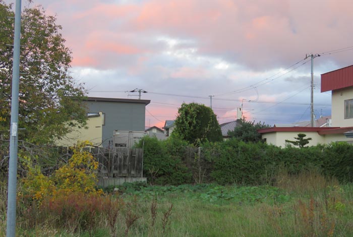 webnews�����̖k��