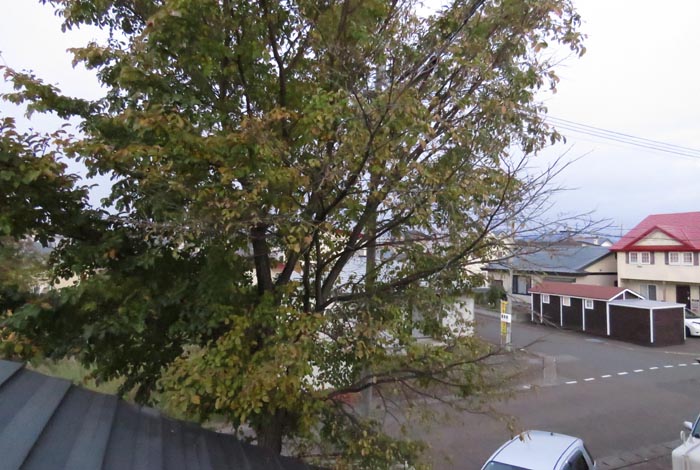 webnews�����̖k���^���̋�