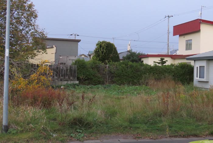 webnews�����̖k��