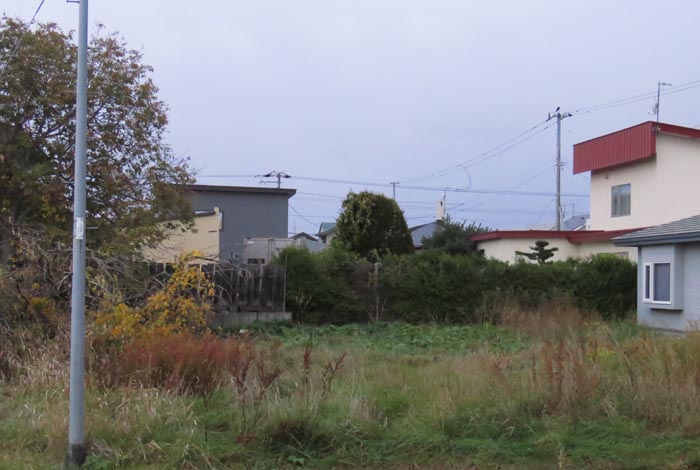 webnews�����̖k��