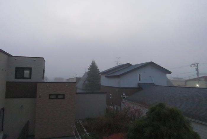 webnews�����̖k���^���̋�