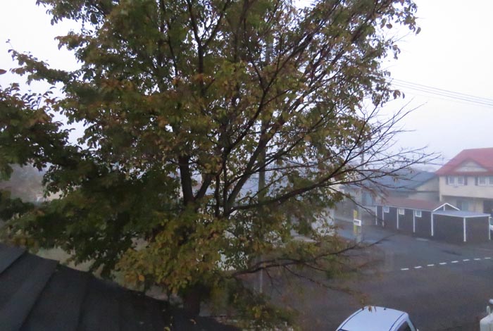 webnews�����̖k���^���̋�