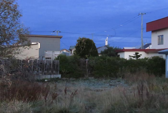 webnews�����̖k��