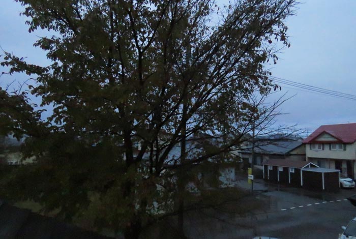 webnews�����̖k���^���̋�