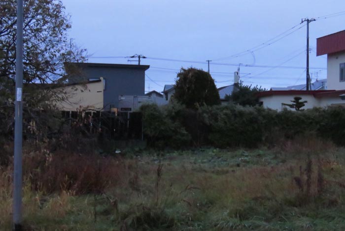 webnews�����̖k��