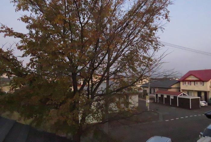 webnews�����̖k���^���̋�