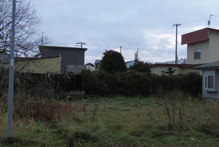 webnews�����̖k��