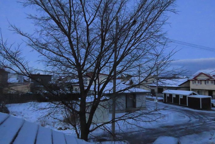 webnews�����̖k���^���̋�