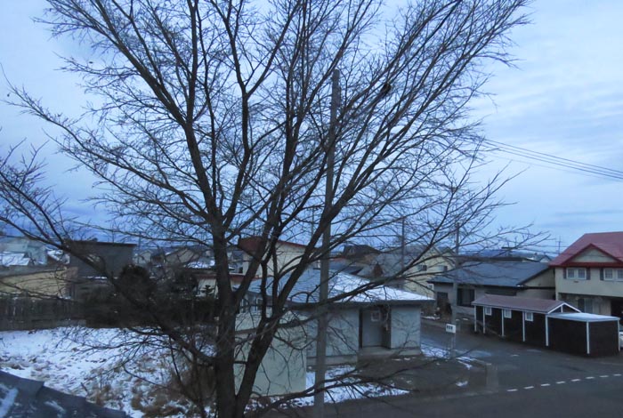 webnews�����̖k���^���̋�