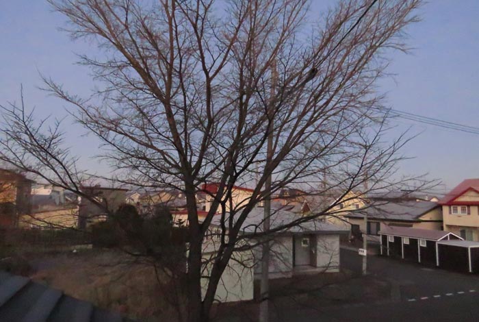 webnews�����̖k���^���̋�