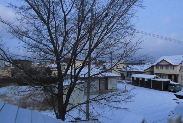 webnews�����̖k���^���̋�