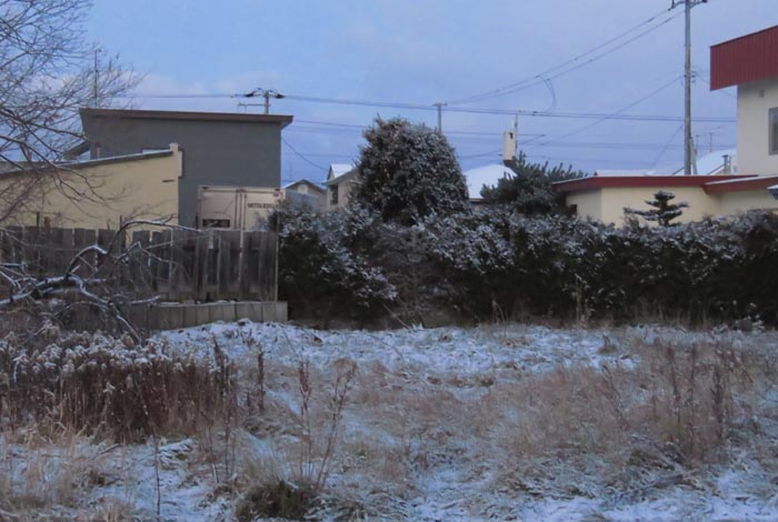 webnews�����̖k��