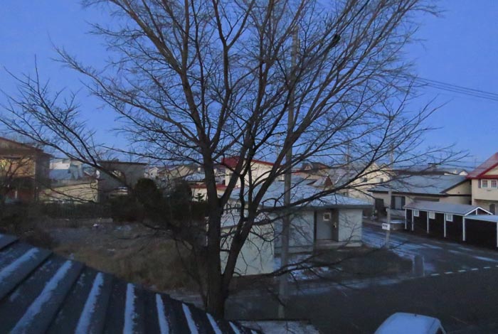 webnews�����̖k���^���̋�