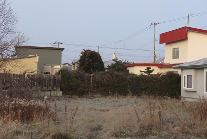 webnews�����̖k��