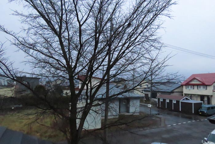 webnews�����̖k���^���̋�