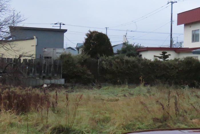 webnews�����̖k��