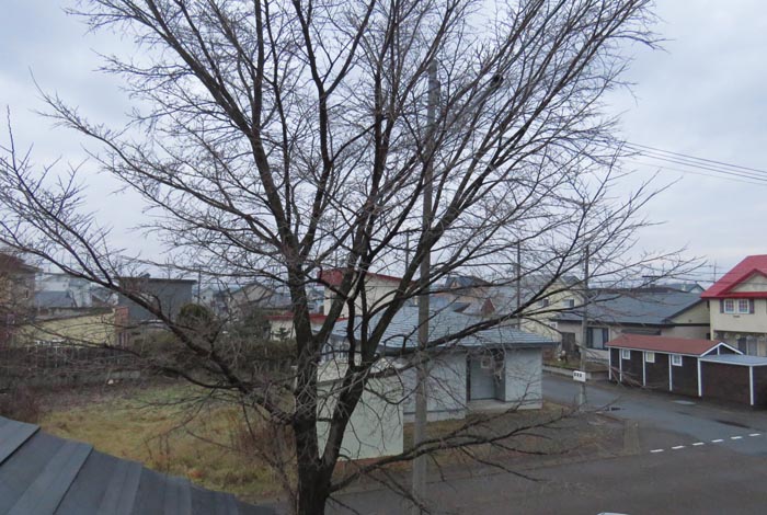 webnews�����̖k���^���̋�