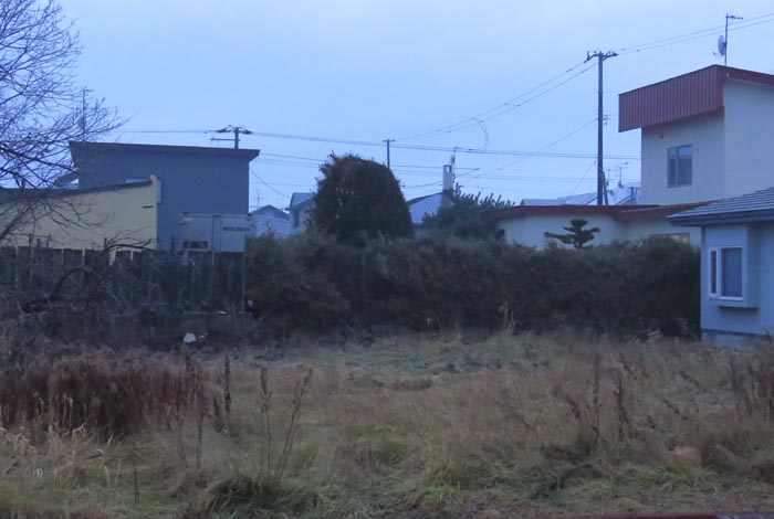 webnews�����̖k��