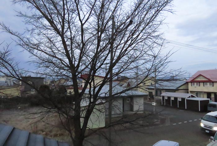 webnews�����̖k���^���̋�