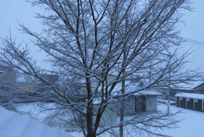 webnews�����̖k���^���̋�