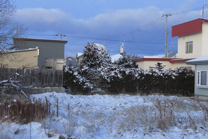 webnews�����̖k��