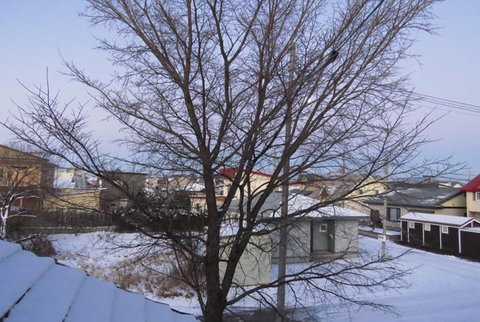 webnews�����̖k���^���̋�