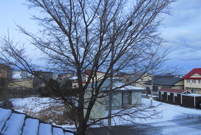 webnews�����̖k���^���̋�