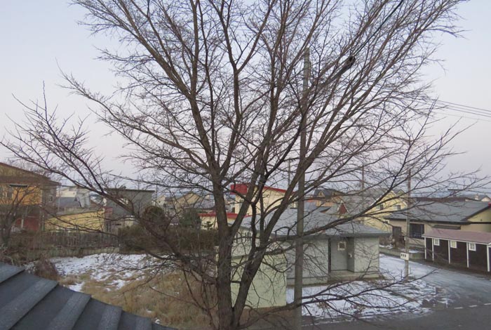 webnews�����̖k���^���̋�