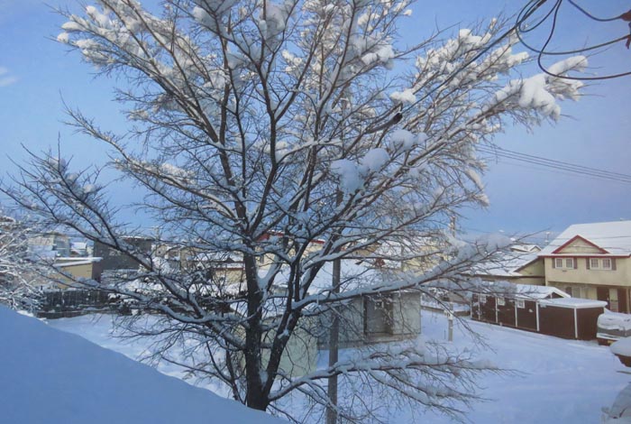 webnews�����̖k���^���̋�