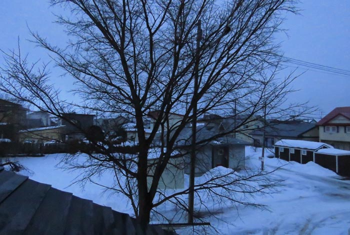 webnews�����̖k���^���̋�