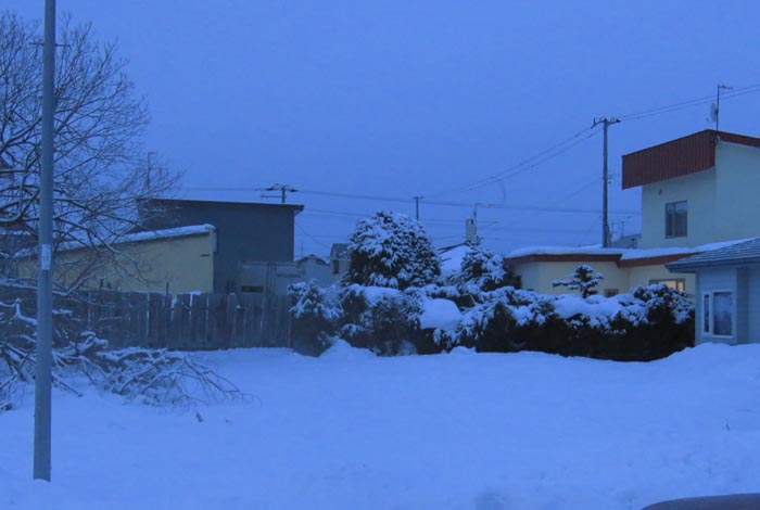 webnews�����̖k��