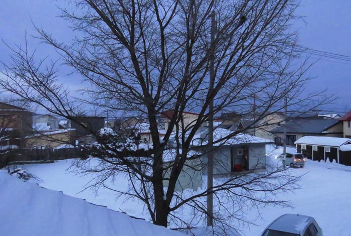 webnews�����̖k���^���̋�