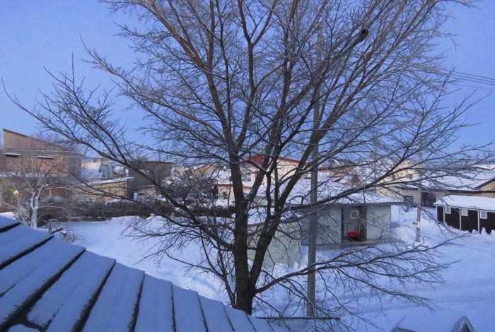 webnews�����̖k���^���̋�